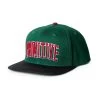 Primitive Collegiate Arch Snapback Cap - Green -Stoppen. Gehen. Skateboard Geschäft. pa323h02 grn 1 1280x1280